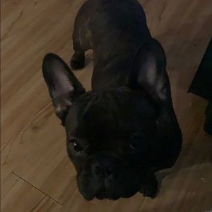 Meet your Posher, Christina-rose